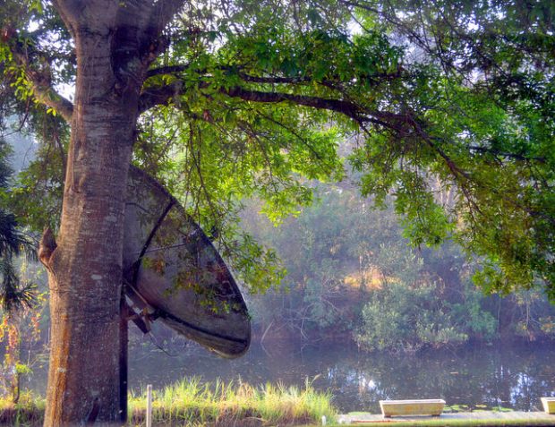 32981022341_b1a891c348_z